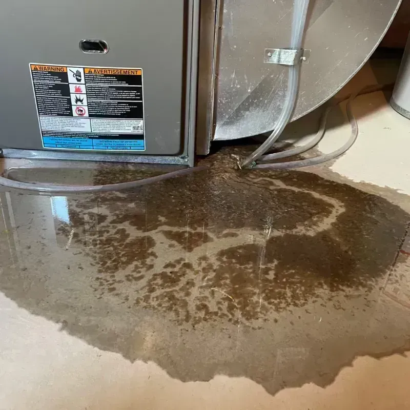 Appliance Leak Cleanup in Picnic Point-North Lynnwood, WA